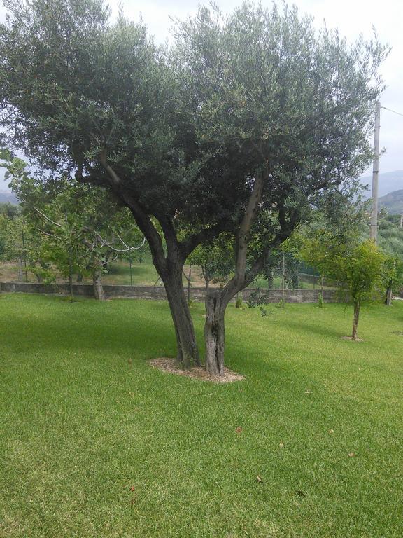 La Selva Hotel Agropoli Bagian luar foto