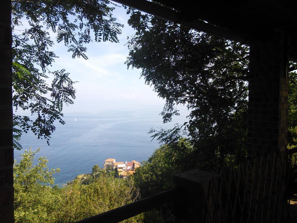 La Selva Hotel Agropoli Bagian luar foto