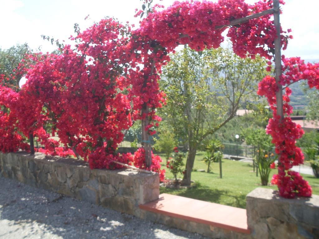 La Selva Hotel Agropoli Bagian luar foto
