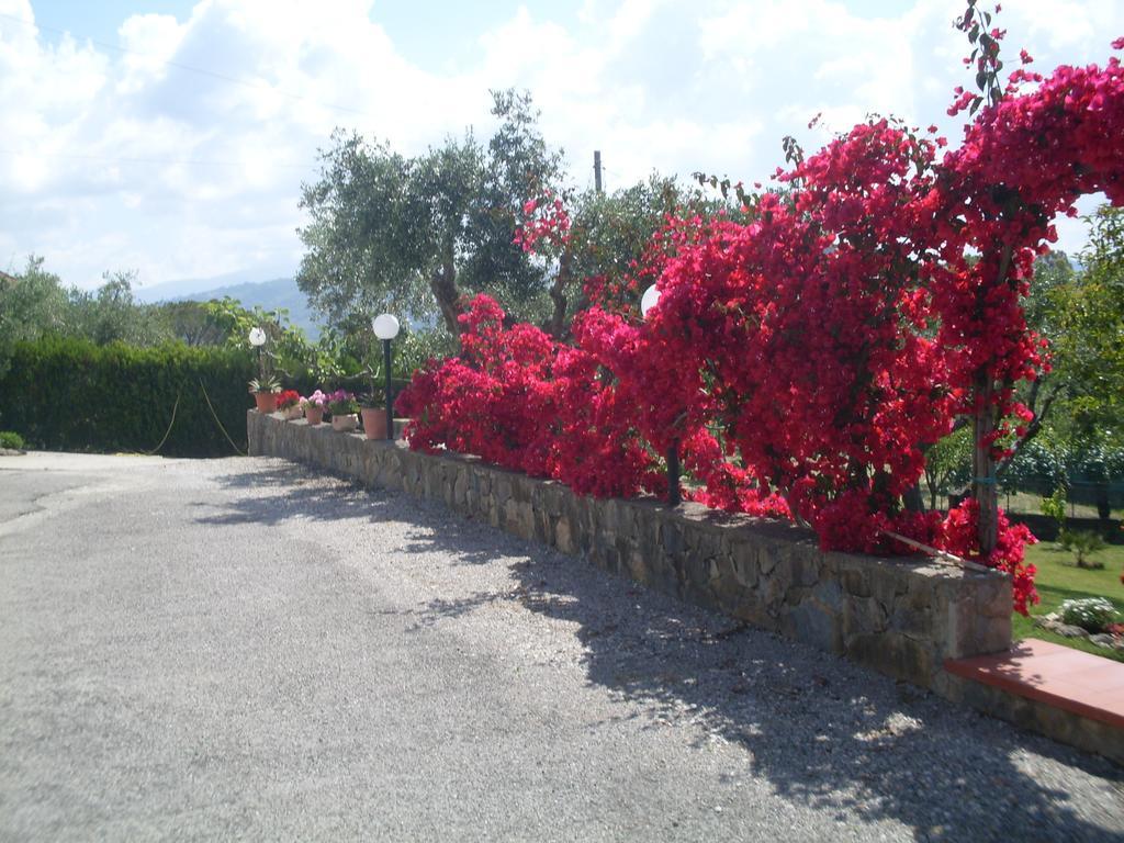 La Selva Hotel Agropoli Bagian luar foto